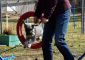 IMG 8704 (1)